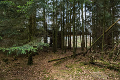 Bild 7349 Adenauer-Villa, Adenauer-Ruine, »Camp Konrad«