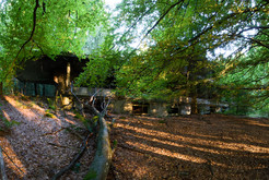 Bild 7351 Adenauer-Villa, Adenauer-Ruine, »Camp Konrad«