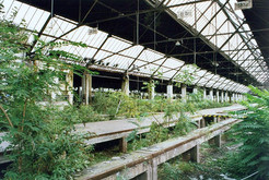 Bild 4250 Güterbahnhof Duisburg