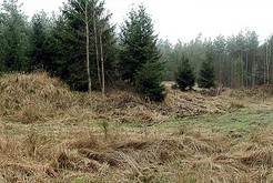 Bild 1607 Raketenbasis Wokuhl