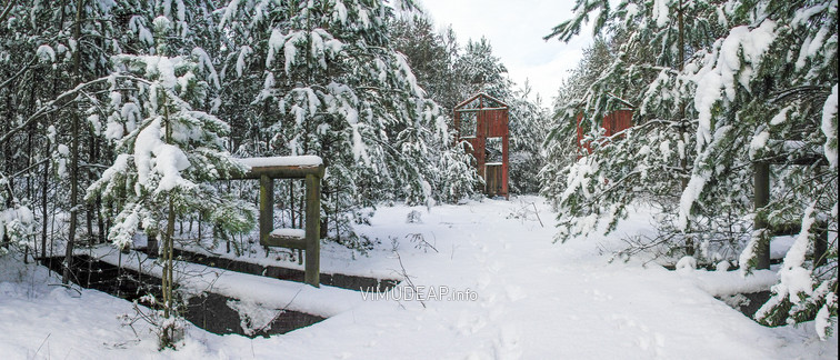 Bild 3354 FRA-4122 Prötzel