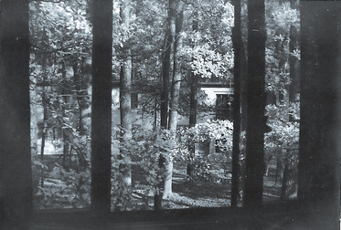 Bild 9825 FRA-4122 Prötzel