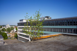 Bild 9057 Bürohaus Siemens / Landis & Gyr, Frankfurt am Main