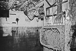 Bild 6130 Bunker Neue Reichskanzlei Berlin (Führerbunker, Hitlerbunker)