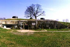 Bild 441 Festungsfront Oder-Warthe-Bogen (Ostwall)