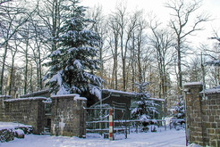 Bild 9784 FRA-4122 Prötzel