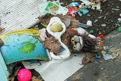 Bild 9797 FRA-4122 Prötzel