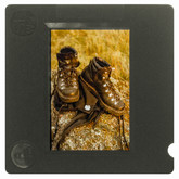 Reproduktion eines Diapositives aus dem Mai 1989. © tk. Bild 9759