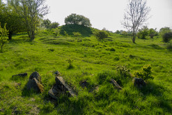 Trümmer am ehemaligen Flugfeld des Junkers Zweigwerkes Bernburg, 23.04.2011. © tk. Bild 9761